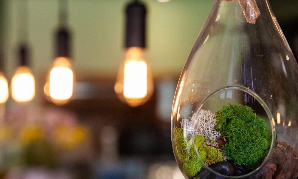 Eco-Friendly Interior Design