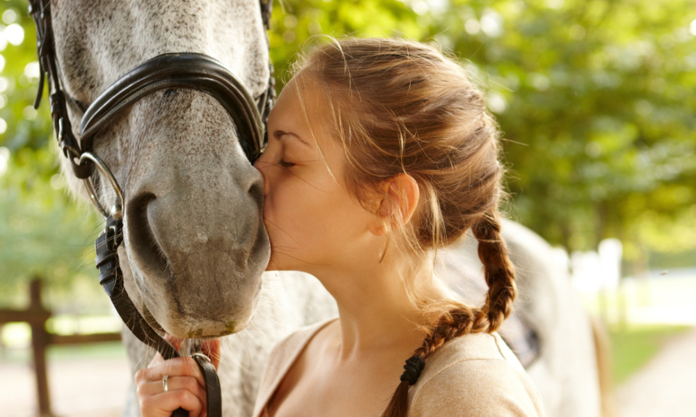 Tips For New Horse Owners