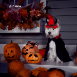 Dog dressed up for Halloween but are they happy?