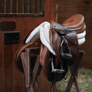Selecting the Perfect Saddle and Tack