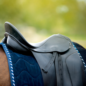 Selecting the Perfect Saddle and Tack