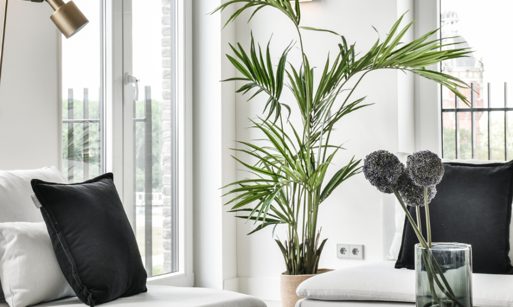 Interior Hacks for Renters