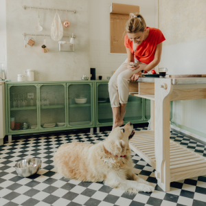 Explore the Perfect Angle for Your Pet's Best Side