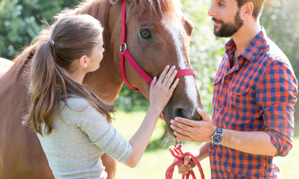 Best Budgeting Tips for Horse Owners