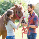 Best Budgeting Tips for Horse Owners
