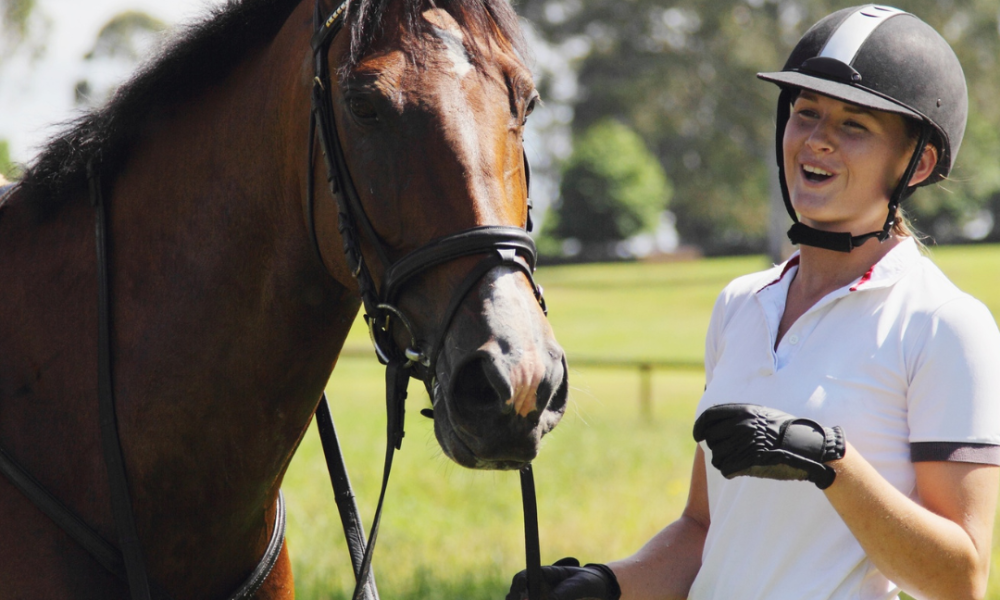 Social Media Trends in the Equestrian World