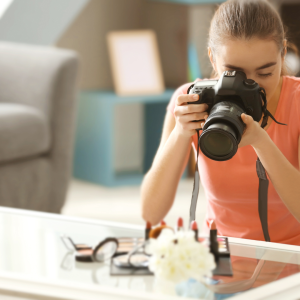 Pet Styling for PR and Photo Shoots