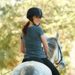 How to Adjust Your Horse's Summer Routine