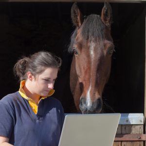 How is equine marketing different from traditional marketing