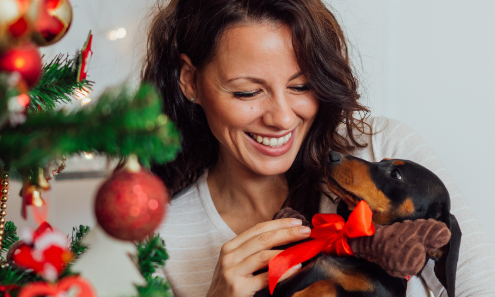 Christmas gifts for pets