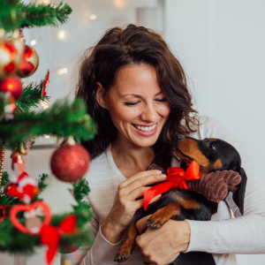 Pet owner smiling at dog with a gift, illustrating how important Christmas gifts for pets are. Pet brand marketing agency MirrorMePR share their tips and advice.