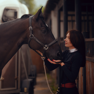 Trust with your horse and brand is key