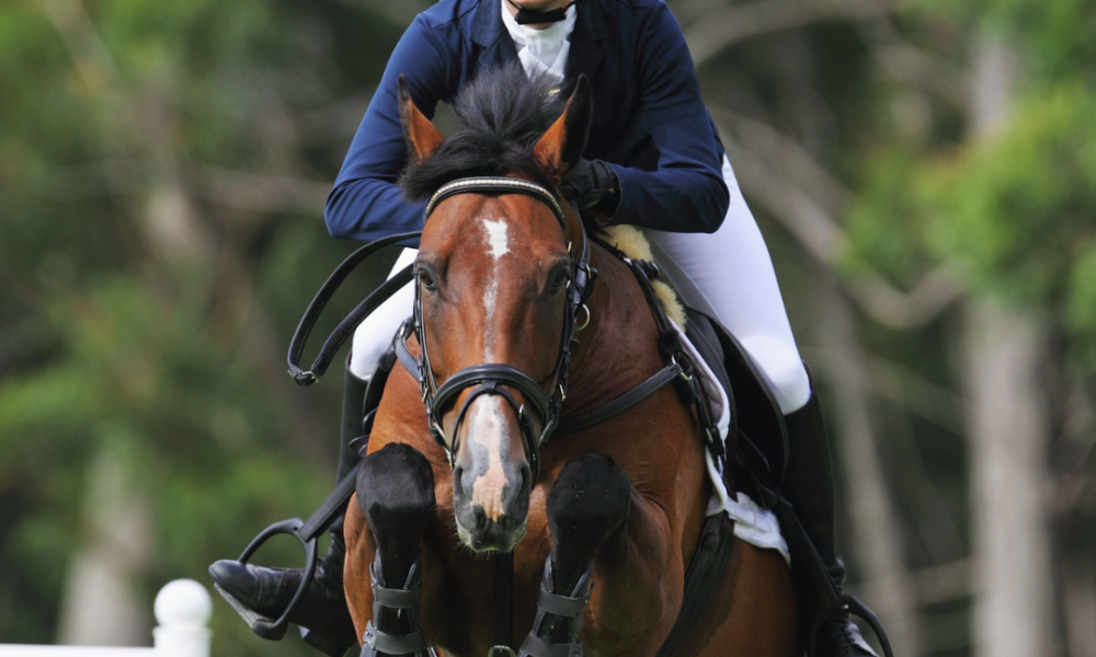 What brands can learn from the equestrian world by MirrorMePR