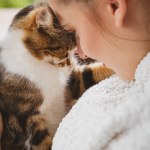 Pet cat and owner pressing heads together