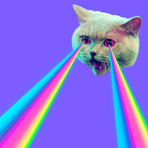 Cat with rainbows flying out of eyes