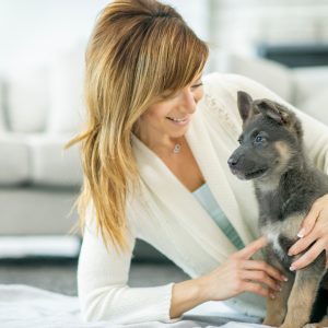 Pet owner holding cute puppy
