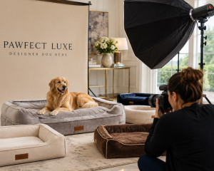 Luxury dog brand photoshoot for pets